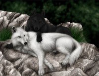 /album/secret-singing-wolves/a4e057c0079-58075366-o2-kopie-2-jpg/